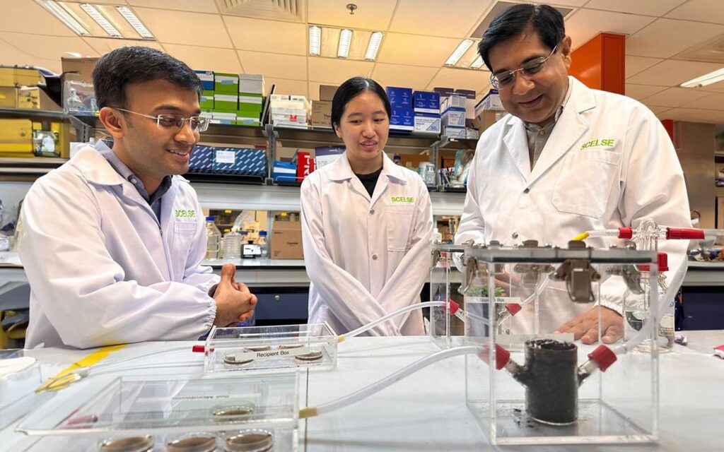 NUS-SCELSE scientists uncover plant hormone that can boost plant growth by 30%