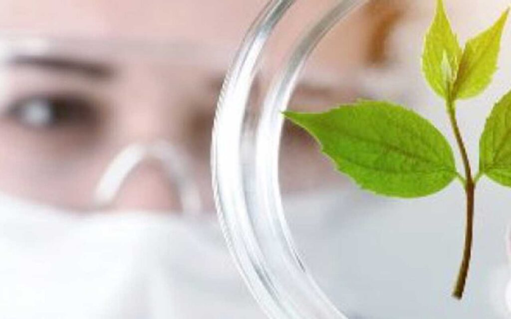 Los 12 principios de la química verde