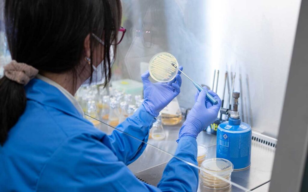Nuevos bioplásticos biodegradables a partir de residuos agroalimentarios para aplicaciones médicas de alto valor añadido