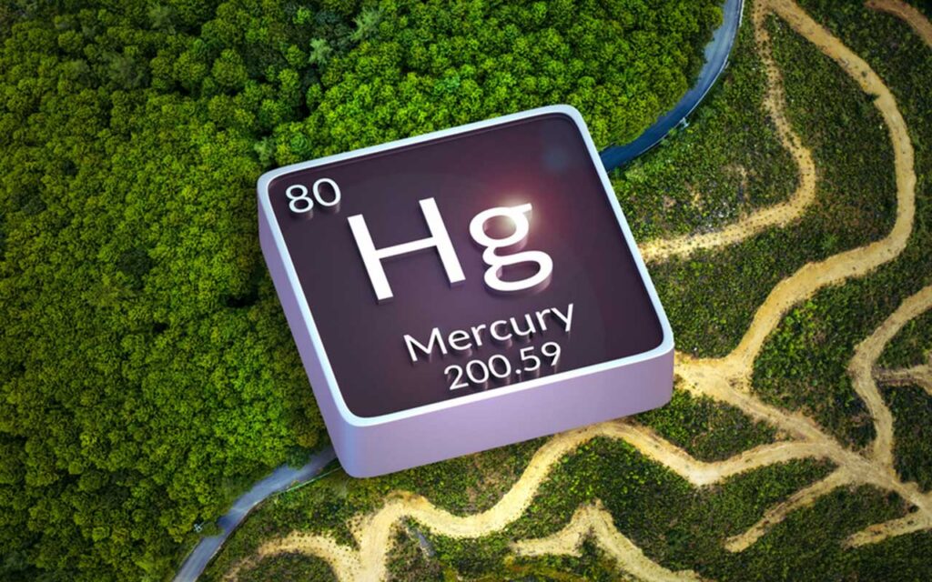 Study: Global deforestation leads to more mercury pollution