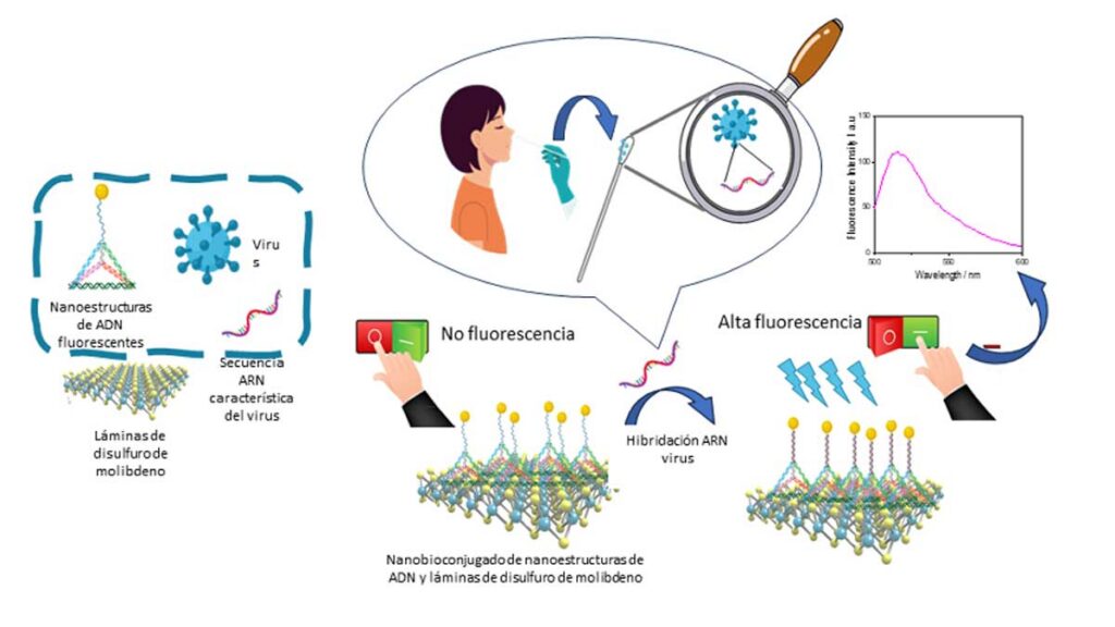 Nuevo método para identificar virus rápidamente