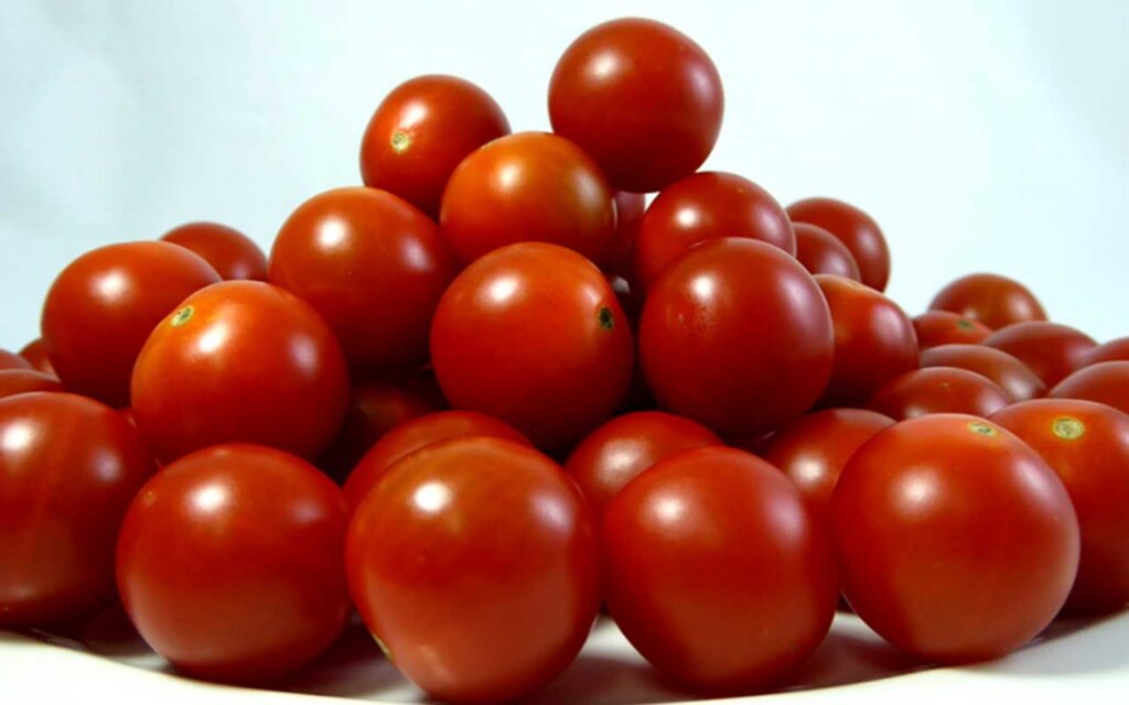 Un compuesto reduce el impacto de la sequía y mejora la productividad en plantas de tomate
