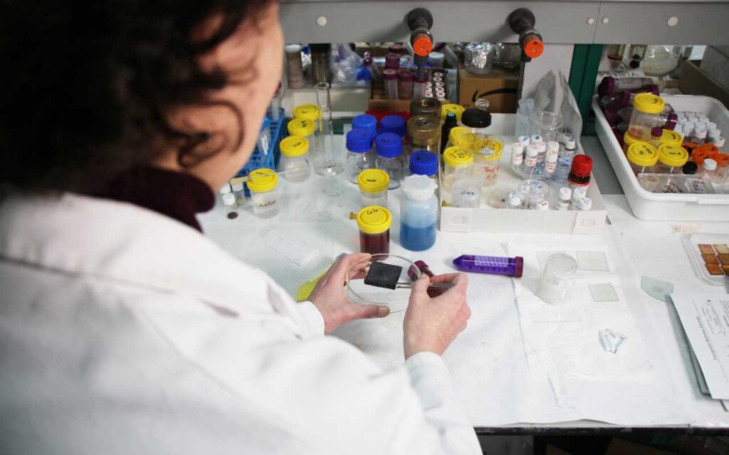 Crean materiales similares al grafeno con biomasa y arcilla para impulsar la transición energética