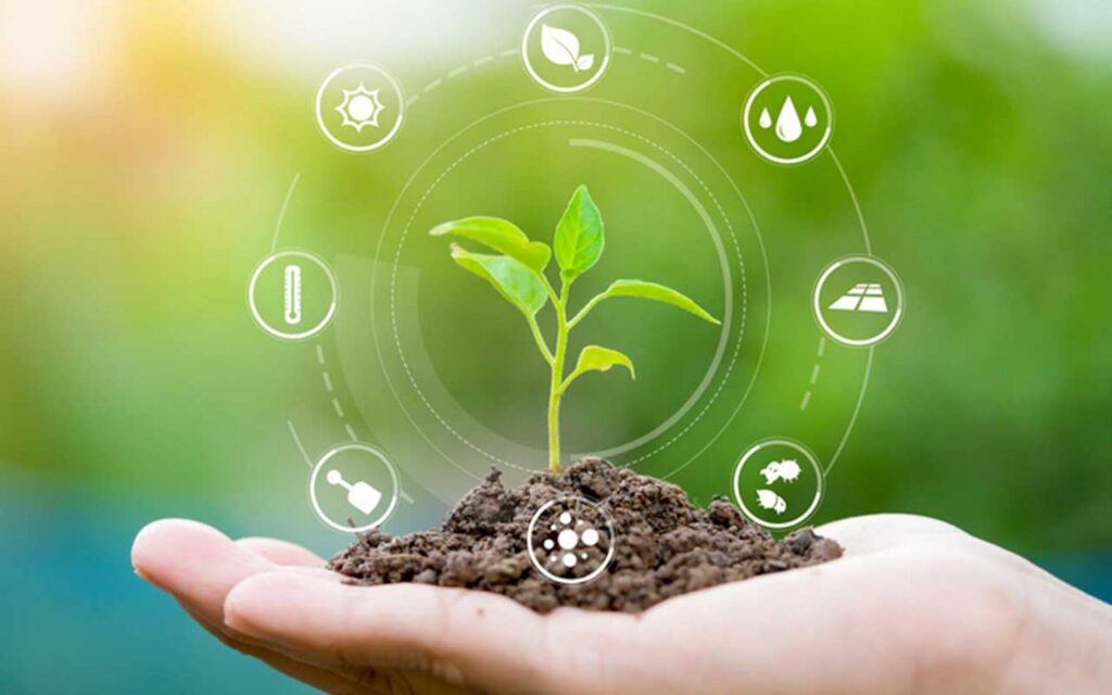 Una base de datos interactiva en línea y de código abierto para agricultores y silvicultores