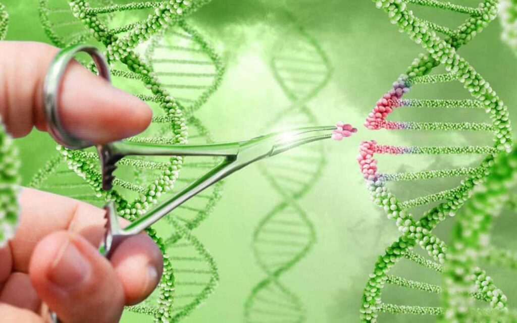 Los bacteriófagos, la tecnología CRISPR y la nanotecnología se consideran las mejores técnicas contra las bacterias superresistentes