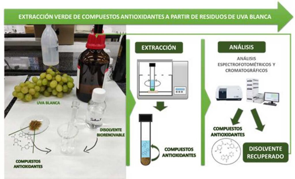 Disolventes renovables, un avance sostenible en la industria vitivinícola