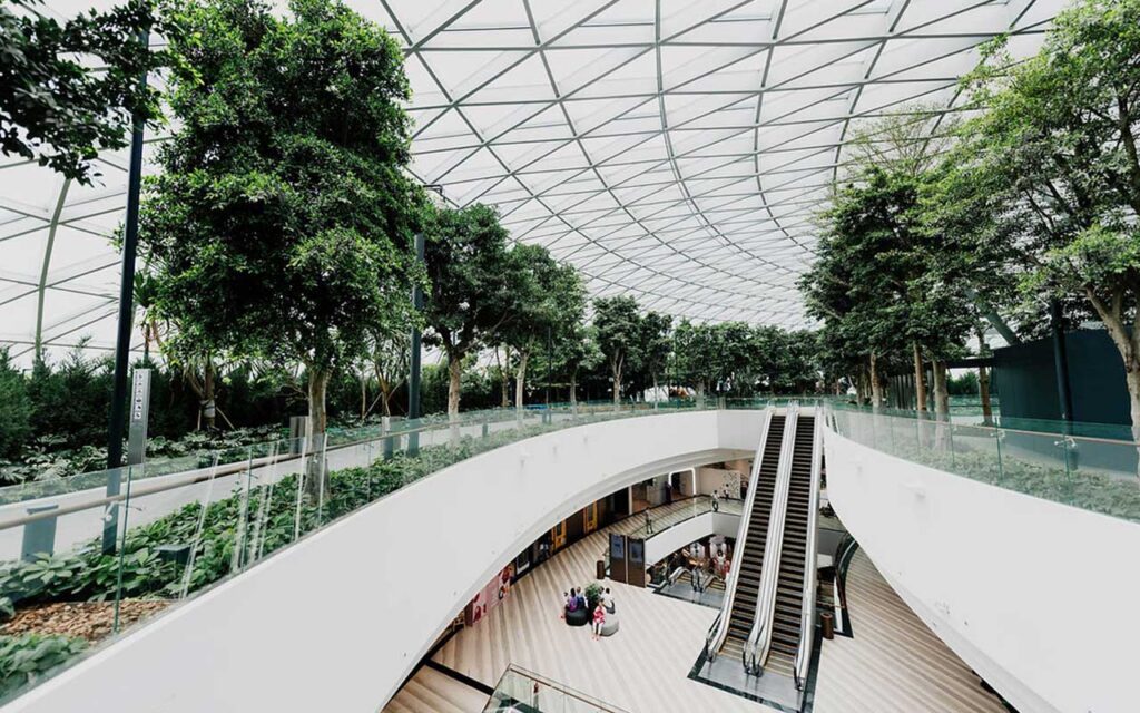 Abordar los problemas urbanos con soluciones basadas en la naturaleza
