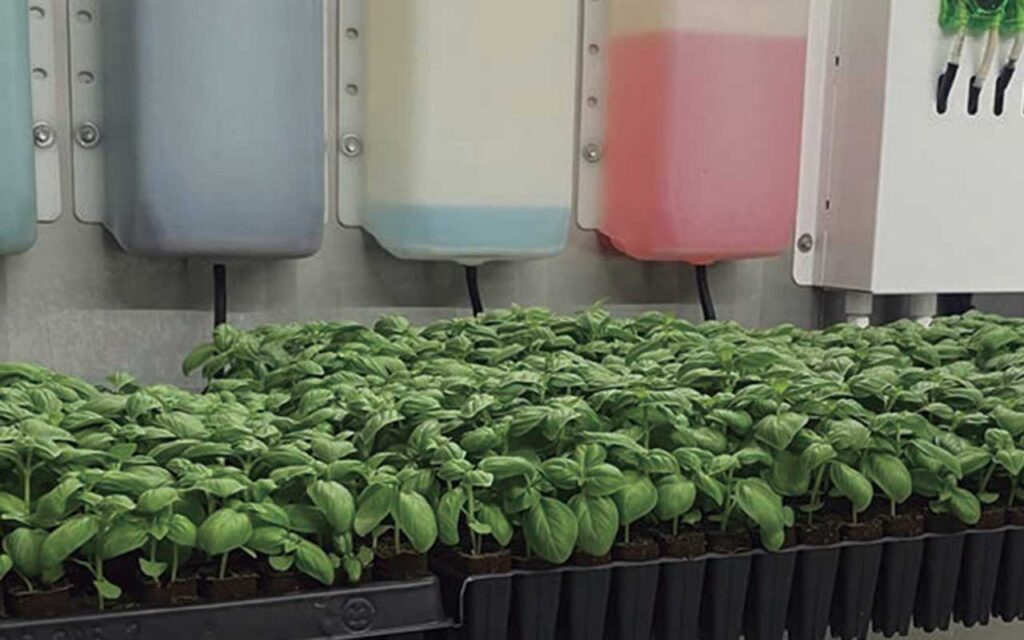 Aceleradoras del futuro agroalimentario