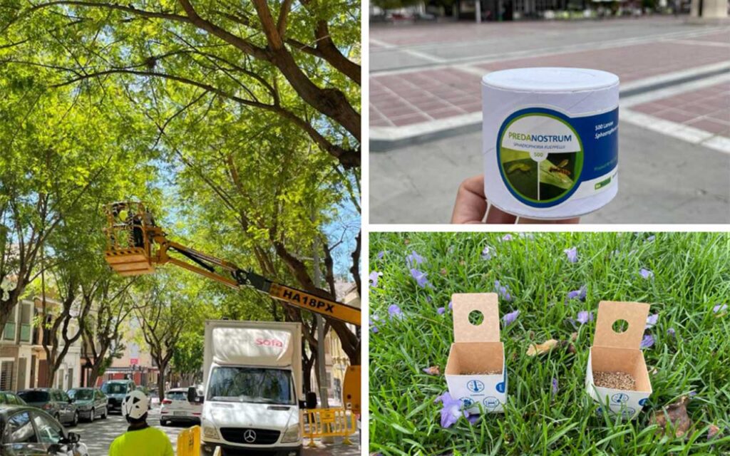 Aguas de Cieza junto a la Concejalía de Medio Ambiente y Economía Circular ponen en marcha la campaña de control biológico de plagas