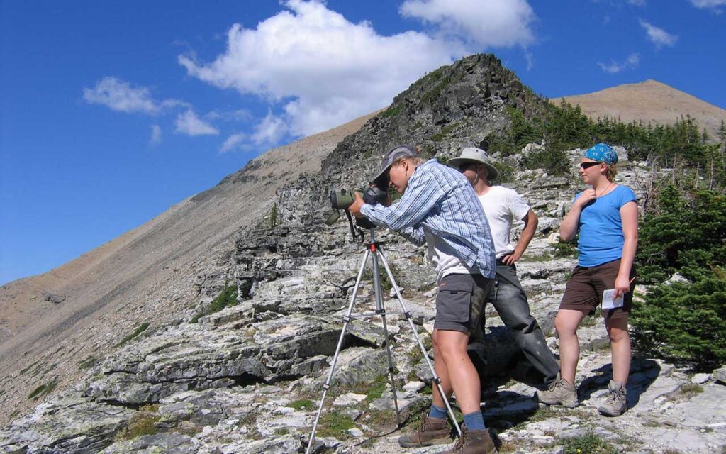 The power of citizen science