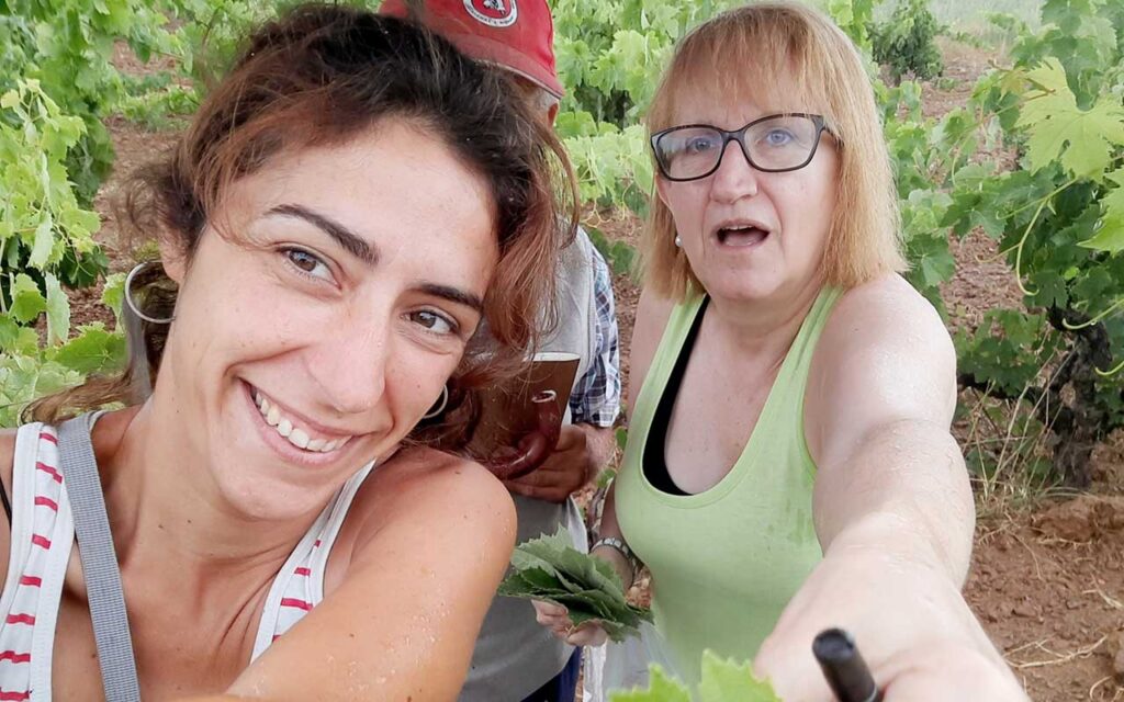 Identifican ocho variedades desconocidas de viña