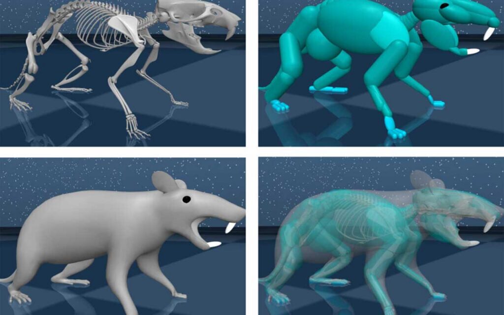 Want to make robots more agile? Take a lesson from a rat