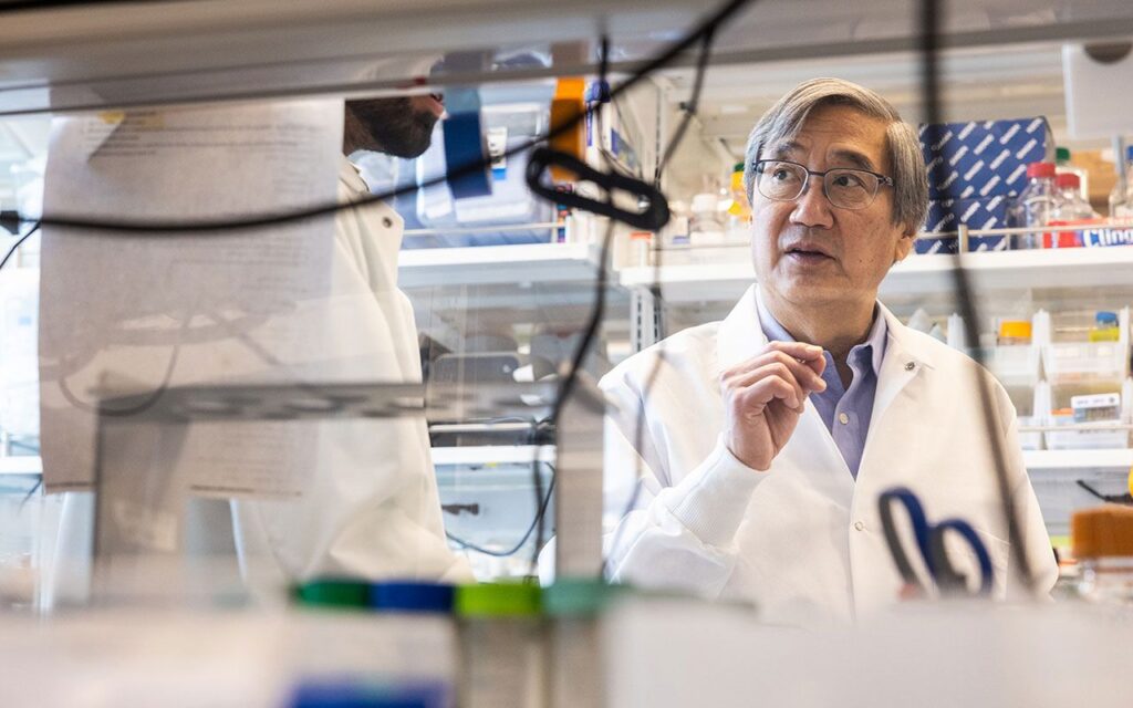 New AI approach optimizes development of antibody drugs