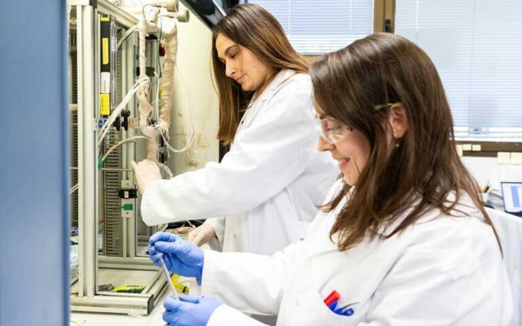 España se prepara para liderar la Investigación Biomédica en Europa