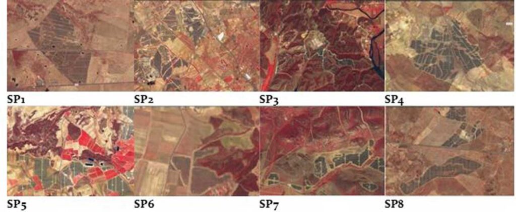 Alternativas para la convivencia de los paneles solares con la agricultura