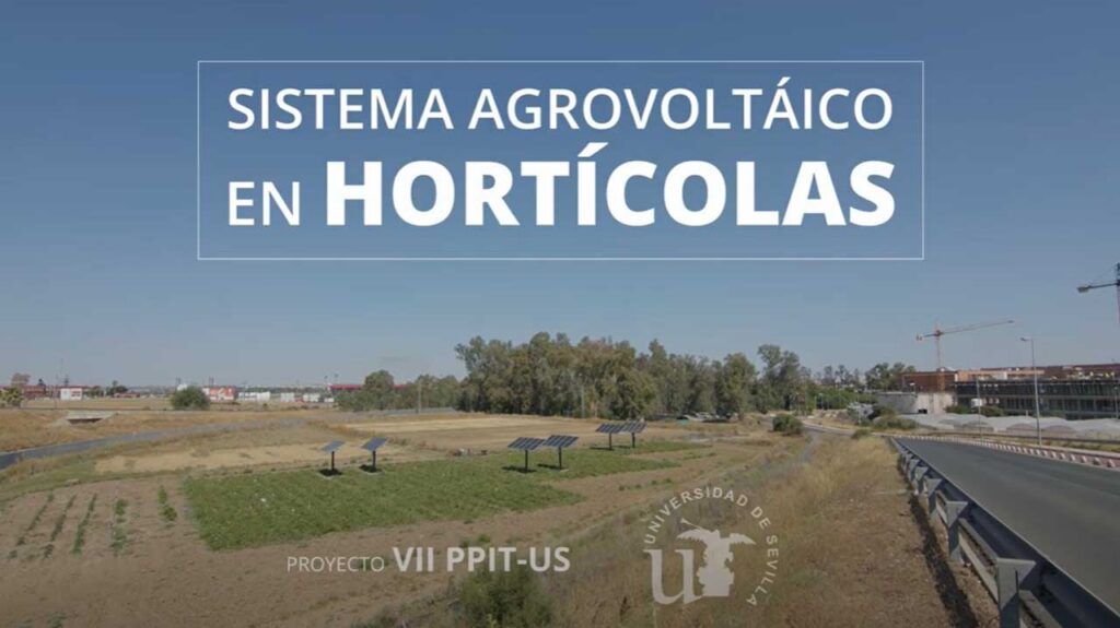 Cultivar hortalizas y generar energía eléctrica de forma simultánea