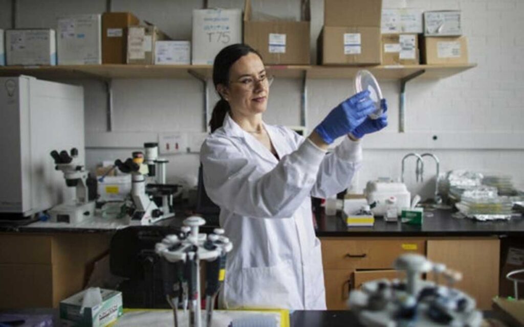 U of T researchers integrate crucial immune cells onto heart-on-a-chip platform