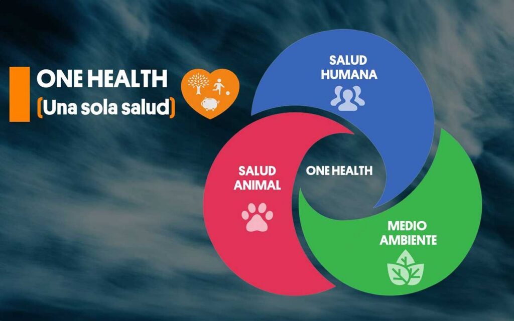 La Plataforma One Health y MSD en España lanzan una innovadora y pionera iniciativa para acercar el enfoque ‘One Health’ a las universidades