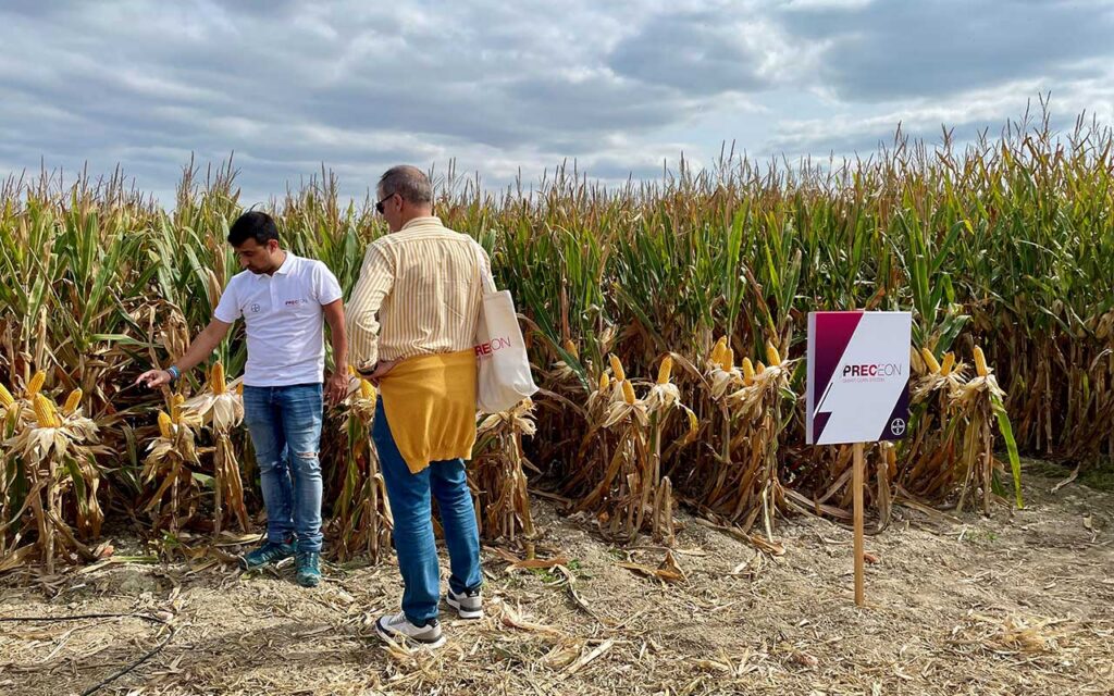 Bayer presenta Preceon, el nuevo sistema de cultivo de maíz más productivo y sostenible