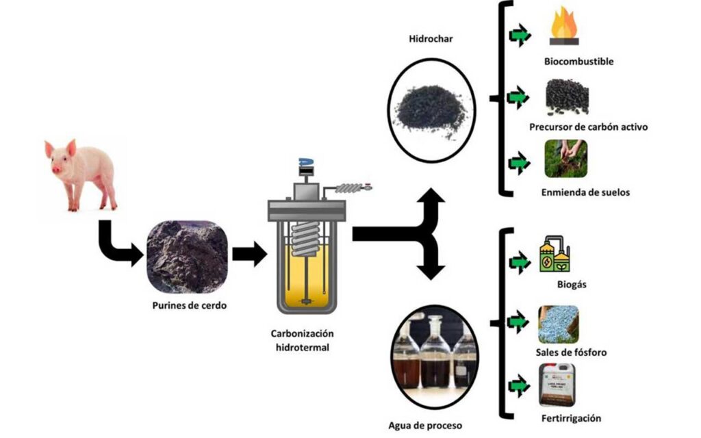 Nuevo método para la valorización de purines de cerdo mediante carbonización hidrotermal