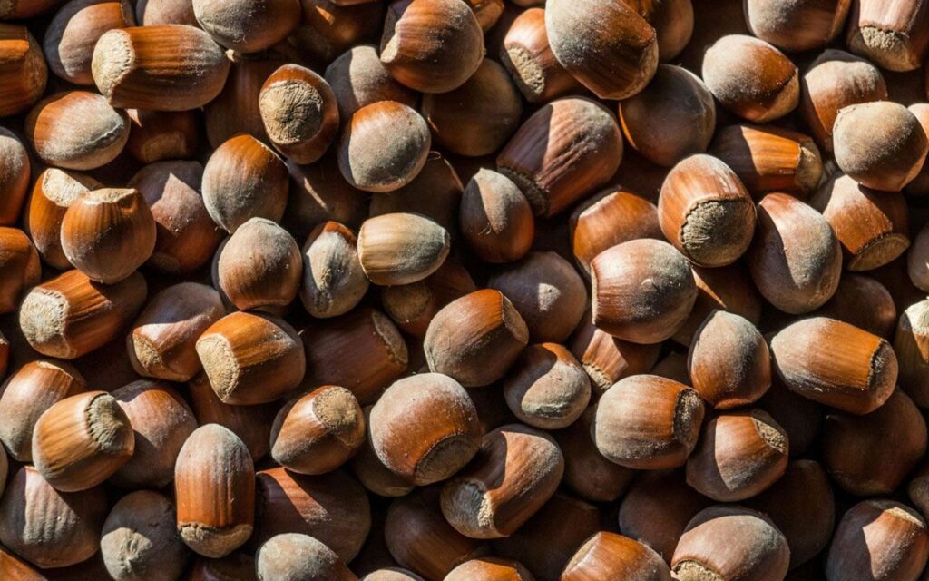 Una investigación internacional estudiará el impacto del consumo de frutos secos en la prevención de enfermedades crónicas