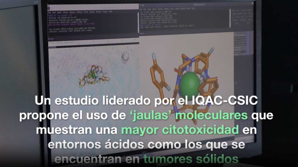 Un estudio liderado por el CSIC avanza en la eliminación selectiva de células cancerosas mediante ‘jaulas’ moleculares