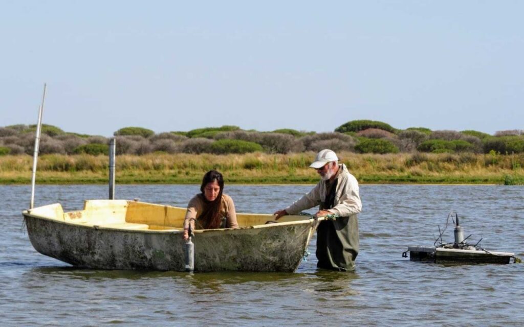 Doñana registra un nuevo mínimo histórico de aves acuáticas invernantes