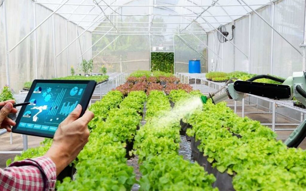 Fomento de la innovación conjunta dentro y fuera del sector agrario