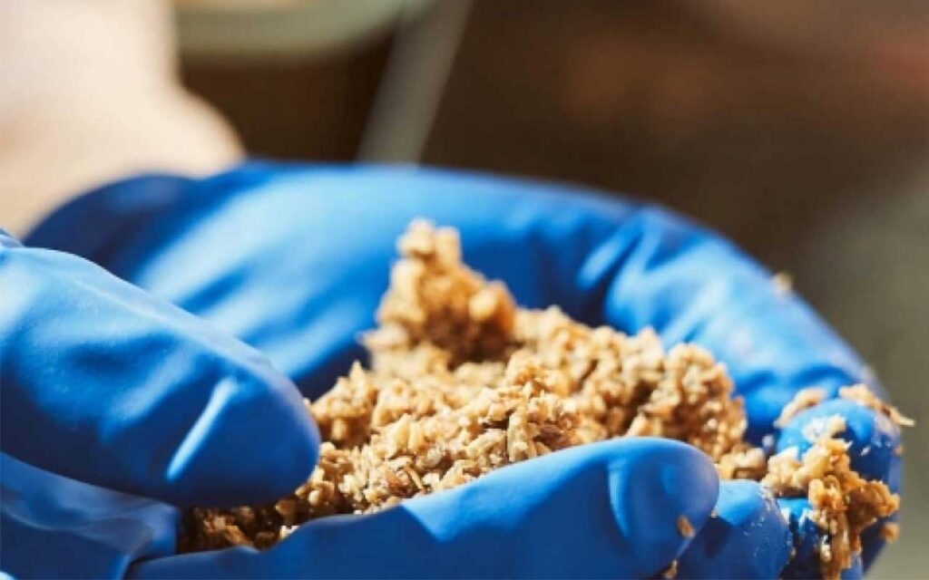 Biorrefinería convierte residuos orgánicos en proteínas sostenibles para alternativas cárnicas