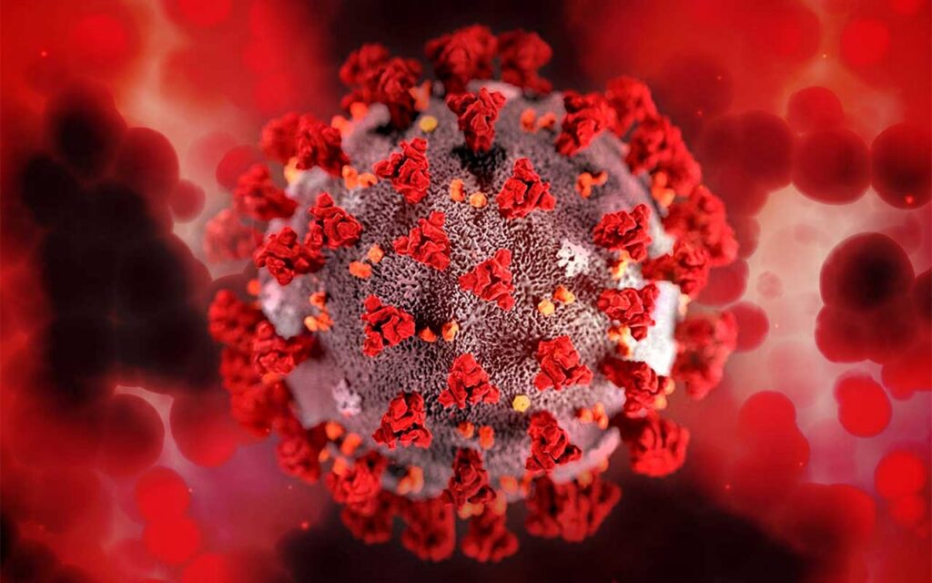 El compuesto antiviral basado en quitosano del CSIC muestra efectividad contra el SARS-CoV-2 y el VRS