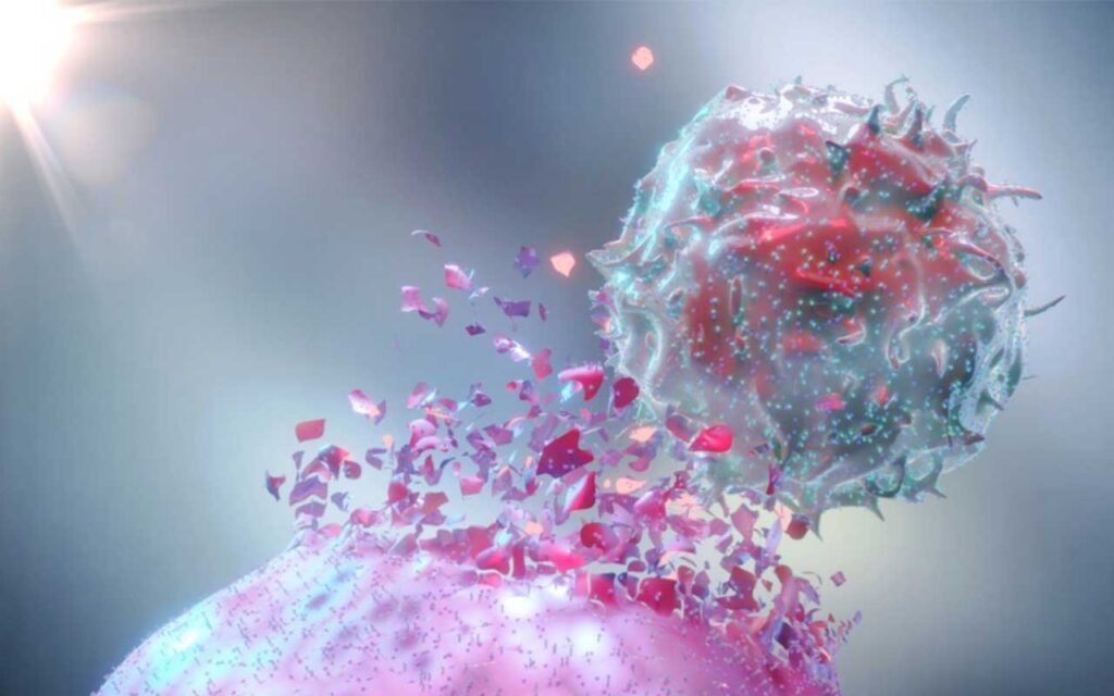 Conexiones entre autofagia y apoptosis en células cancerosas - Estudio CBM-CSIC-UAM