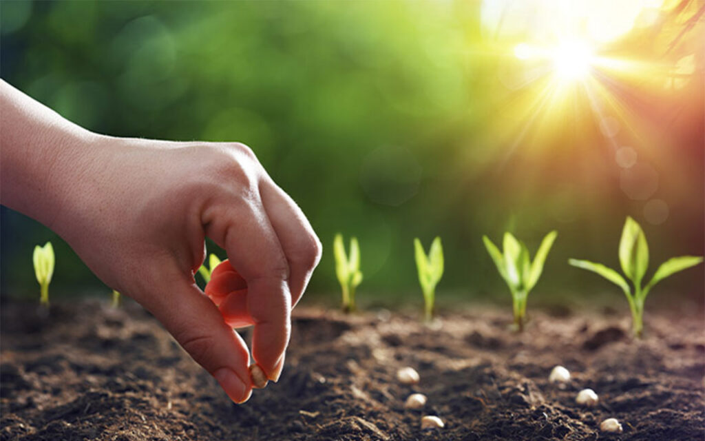 Sistema autosuficiente para producir fertilizantes sostenibles a partir de CO2 y nitrógeno en el proyecto europeo CONFETI