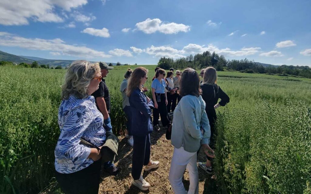Agricultores observan prácticas de agricultura regenerativa en una parcela experimental de Navarra 360º