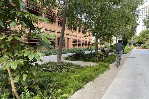Sanidad y la FEMP publican una guía para transformar el espacio público con urbanismo que mejore la salud
