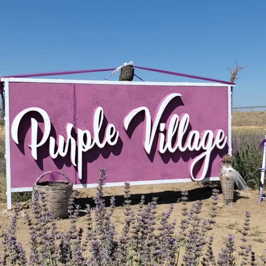 Smart Purple Villages: la revolución inteligente con perspectiva de género en el medio rural
