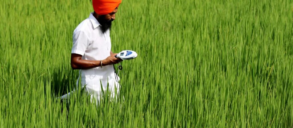 Smarter agriculture: farmers work with nature to cut pesticide
