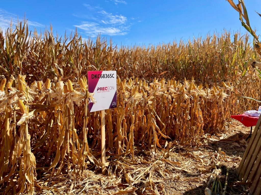 Un nuevo estudio científico avala los beneficios ambientales y productivos del sistema Preceon™ Smart Corn de Bayer