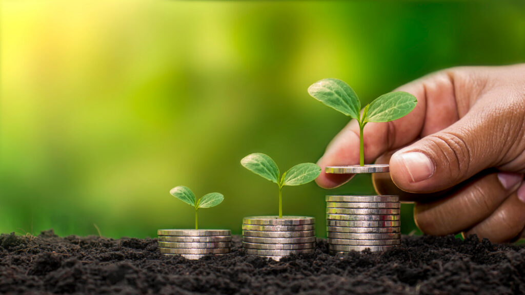 Sustainable Finance: Bridging Traditional Industry and Innovation