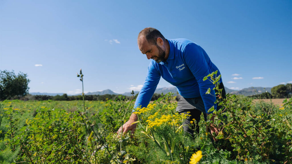 Agricultura regenerativa