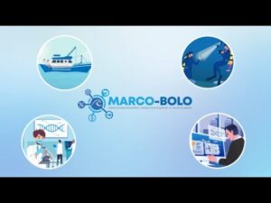 Bringing marine biodiversity into focus with new technologies