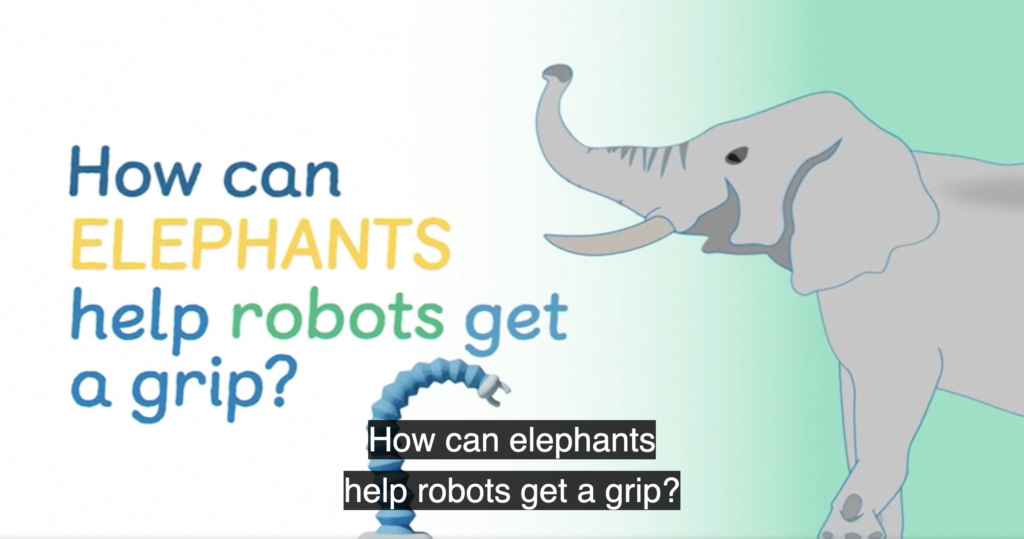 ¿Cómo pueden los elefantes mejorar el agarre de los robots?