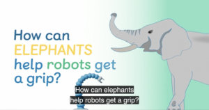 ¿Cómo pueden los elefantes mejorar el agarre de los robots?