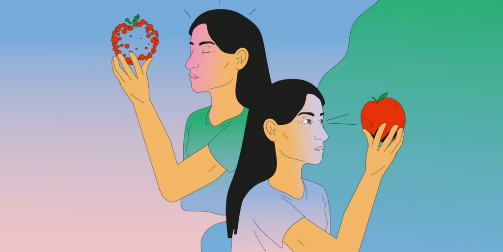Imagine That: Brain Uses Neurons from Vision System When Forming Mental Imagery
