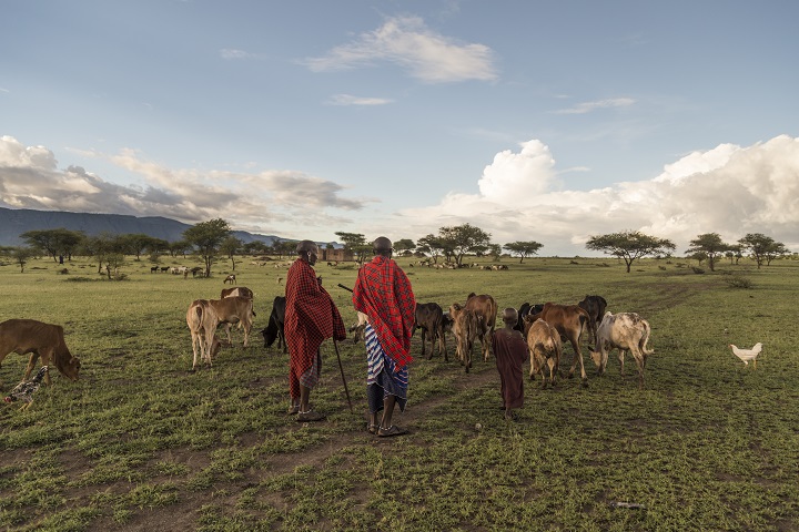 Potenciar las prácticas de custodia ambiental para mejorar la protección de la biodiversidad en todo el planeta