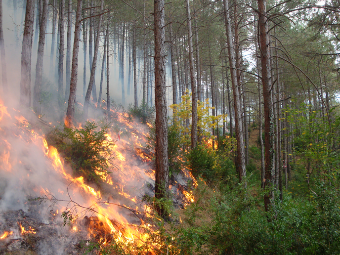 A wildfire management approach for more climate-resilient land systems