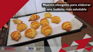 El CSIC desarrolla una alternativa saludable a las grasas convencionales a partir del agua de cocción de legumbres