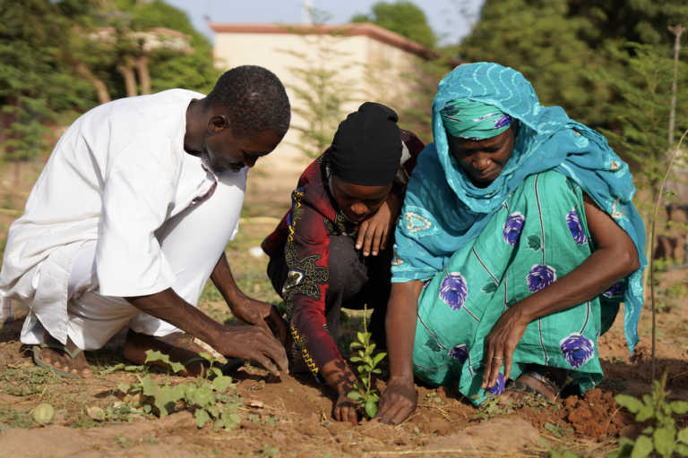 Bamagreen: Phase II – Ayuda en Acción and adaPETation® launch a pioneering circular economy project in Mali with funding from AECID