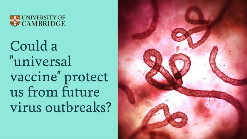 New ‘universal vaccine’ technology could protect us from future virus outbreaks