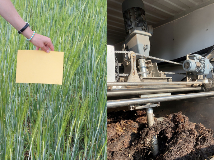 From festivals to farms: European regions turn wastewater into agricultural resources