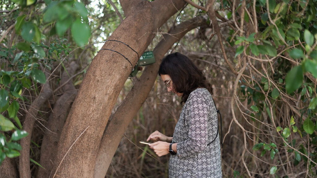 El Ayuntamiento de València y la UPV impulsan la monitorización de la biodiversidad urbana mediante inteligencia artificial